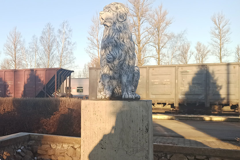 Фото: Дновец/ВКонтакте
