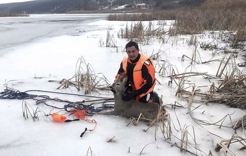 Фото: пресс-служба Главного управления МЧС России по Белгородской области