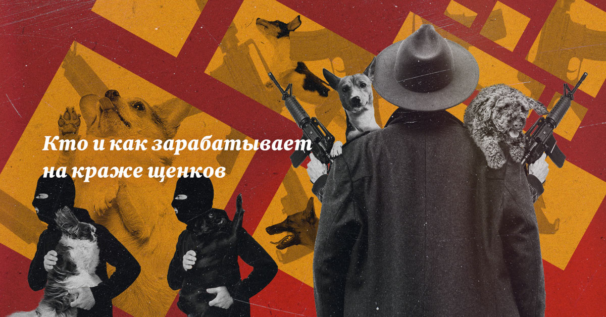 Зверомафия — Московские новости