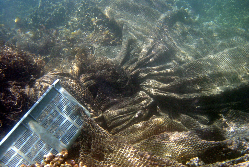 Фото: NOAA