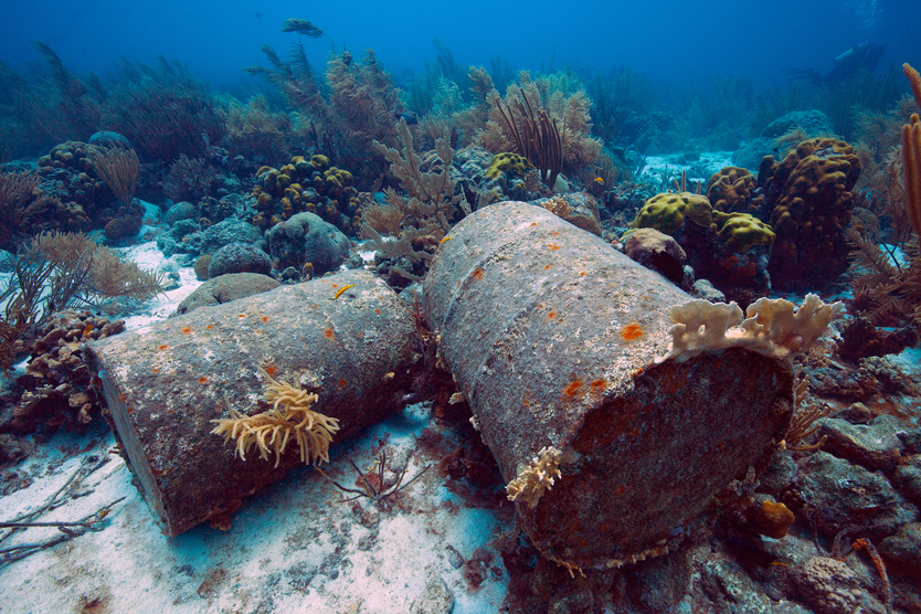 Фото: Jill Heinerth / Ocean Image Bank