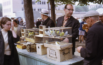 До начала 2000-х годов Птичий рынок находился на Нижегородской улице и выглядел вот так. 
